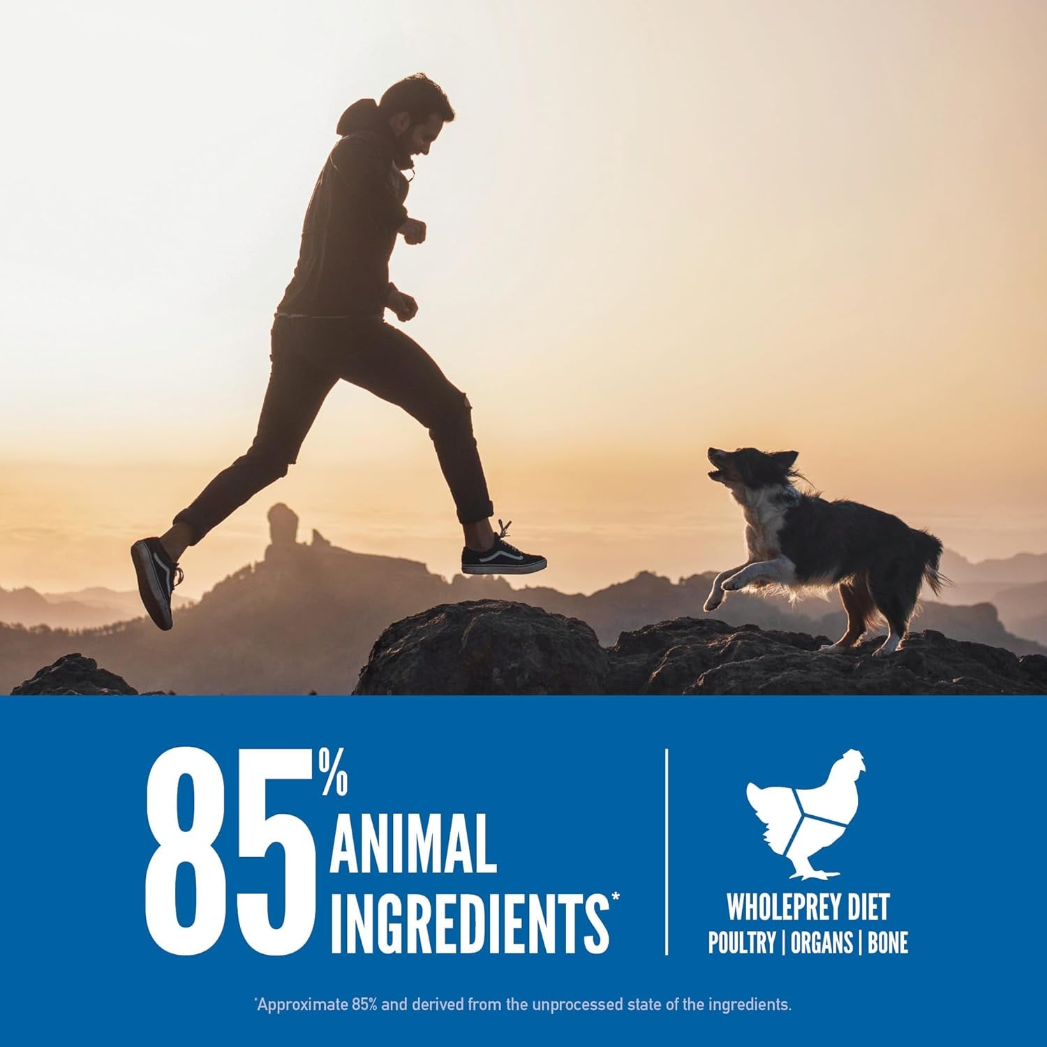 Dry Dog Food, Original, Biologically Appropriate & Grain Free