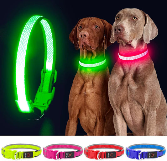 Light up Dog Collar, Rechargeable LED Dog Collar, Flashing Dog Collar, Adjustable Reflective Dog Collar Safety Glowing at Night (Green, Medium)