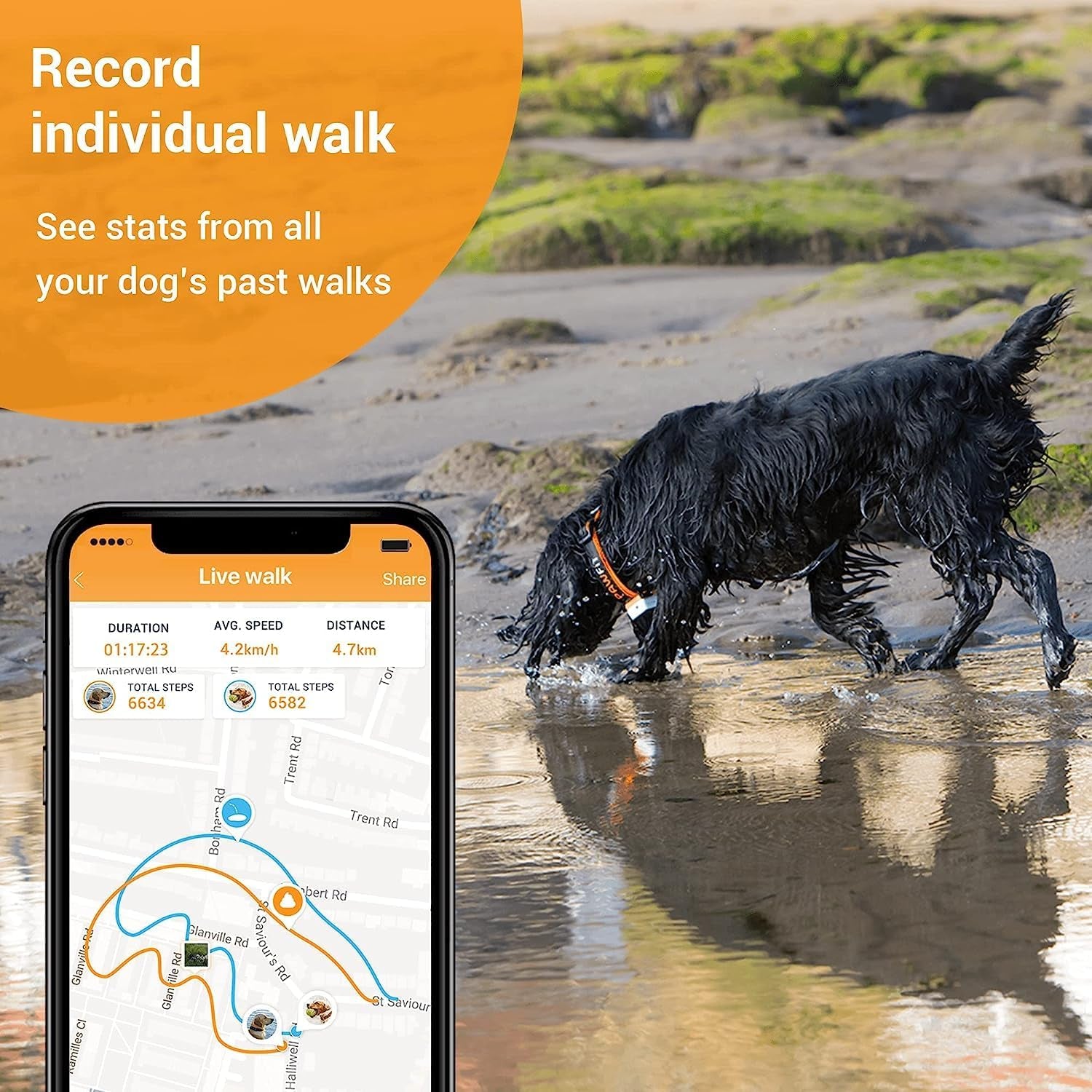 3 GPS Pet Tracker GPS Dog Tracker 4G Live Satellite Tracking, Multiple Smart Alerts, Fully Waterproof Activity Monitor for Dogs & Cats, Unlimited Range, Remote Voice Recall，Fits All Collars