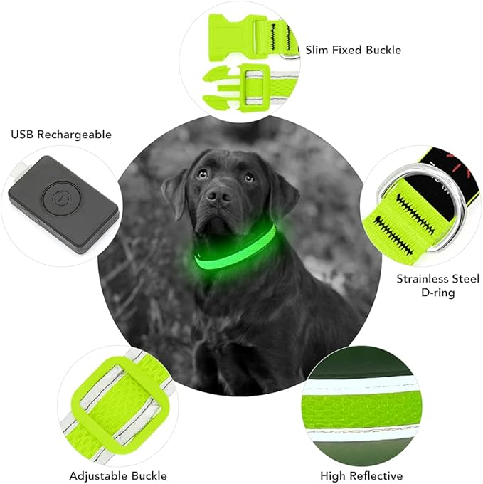 Double up Dog Collar - Reflective Dog Collar with ID Tag D-Ring, for Small to Large Dogs - Soft-Touch, Reflective, Durable - for Active Pets