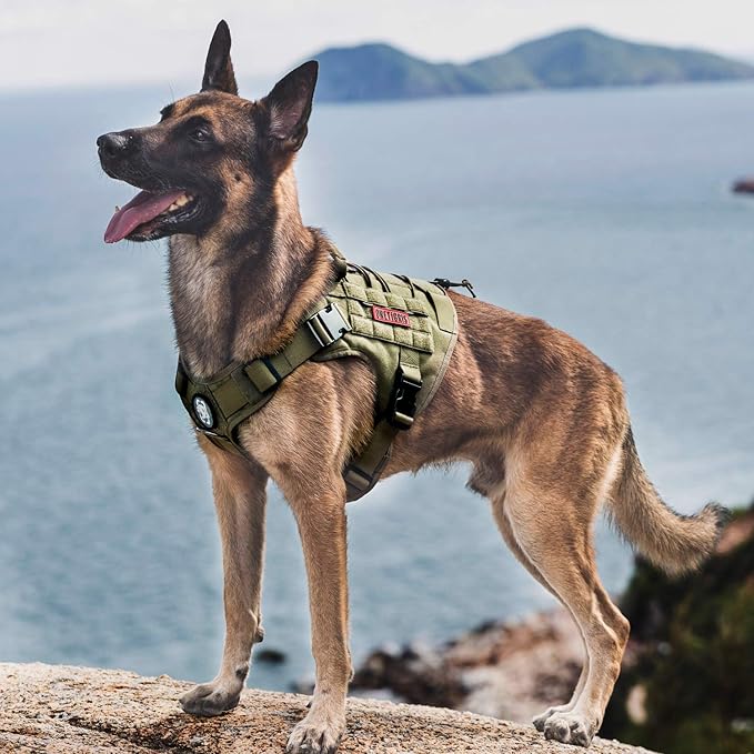 Tactical Dog Harness Vest