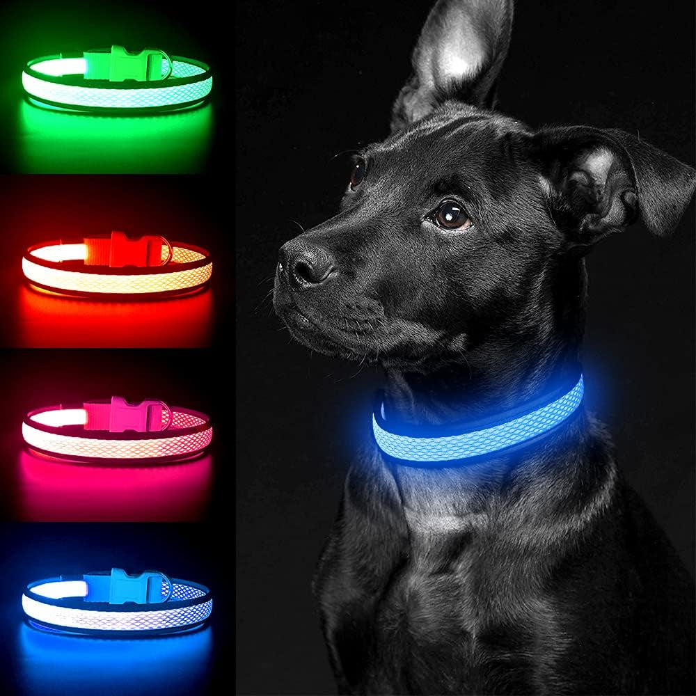 Light up Dog Collar, Rechargeable LED Dog Collar, Flashing Dog Collar, Adjustable Reflective Dog Collar Safety Glowing at Night (Green, Medium)