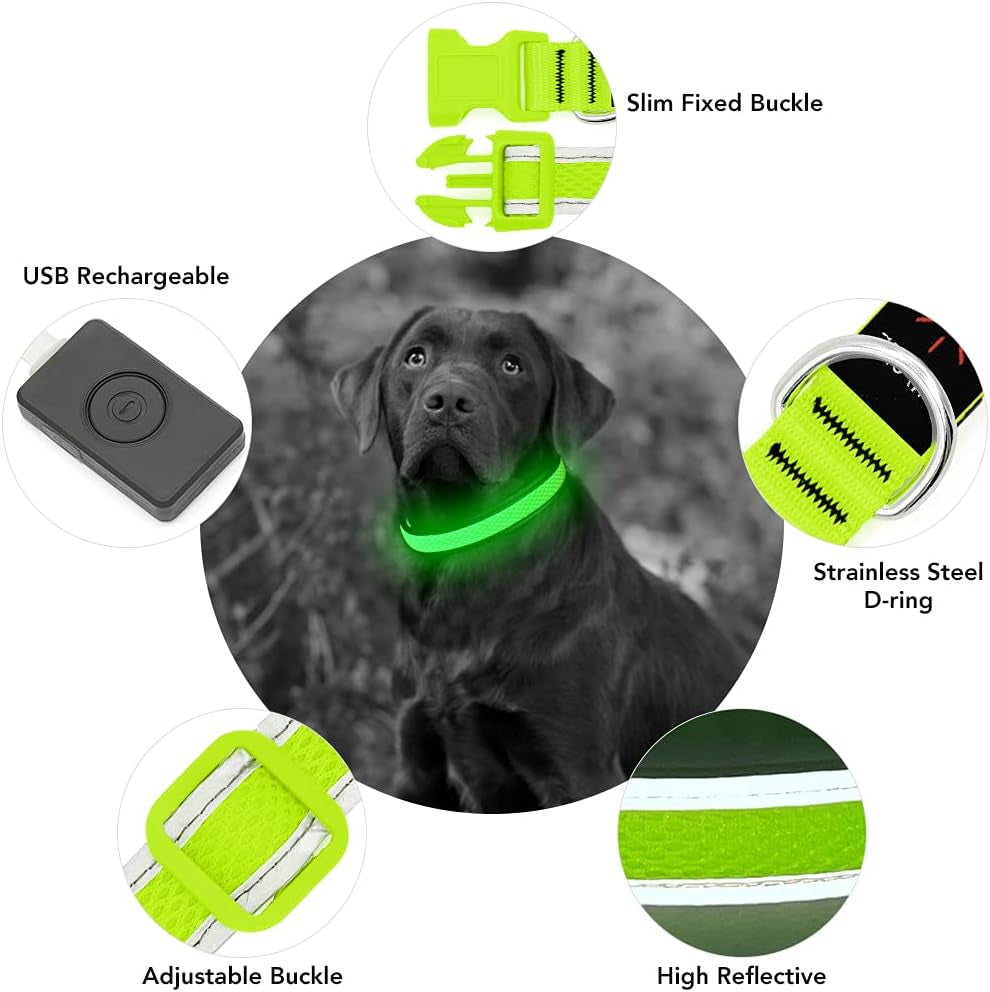 Light up Dog Collar, Rechargeable LED Dog Collar, Flashing Dog Collar, Adjustable Reflective Dog Collar Safety Glowing at Night (Green, Medium)