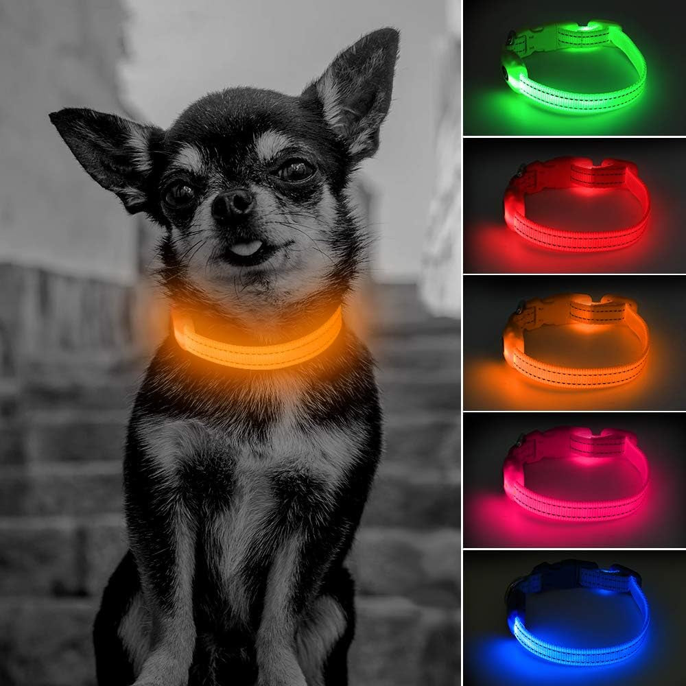 Light up Dog Collar, Rechargeable LED Dog Collar, Flashing Dog Collar, Adjustable Reflective Dog Collar Safety Glowing at Night (Green, Medium)