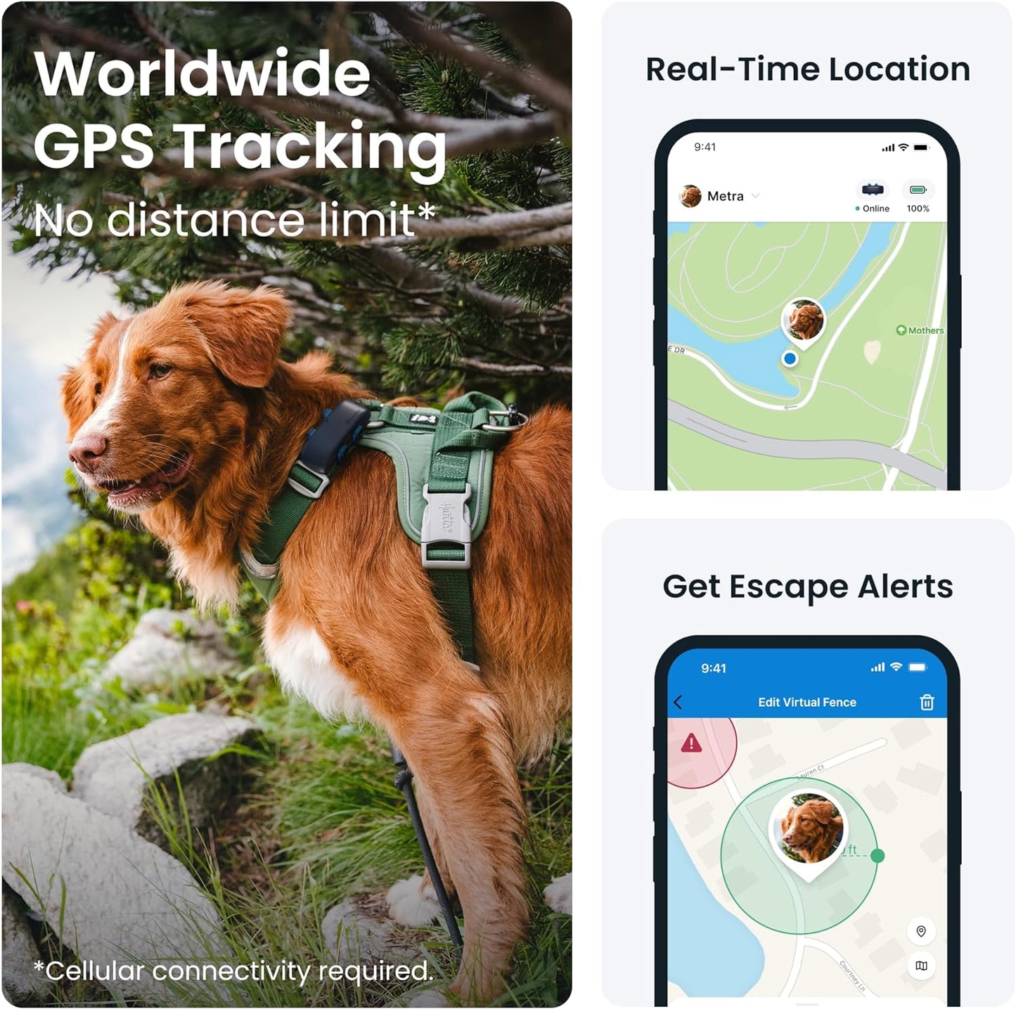 GPS Dog Tracker, Market Leader, Worldwide Real-Time Location Tracking, Escape Alerts, Monitor Activity & Get Health Alerts, Dark Blue