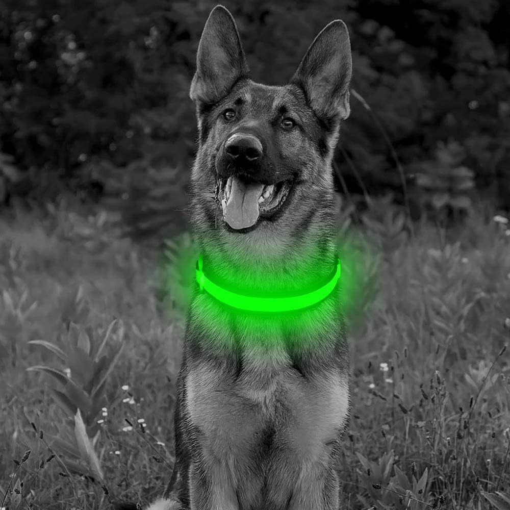 Light up Dog Collar, Rechargeable LED Dog Collar, Flashing Dog Collar, Adjustable Reflective Dog Collar Safety Glowing at Night (Green, Medium)