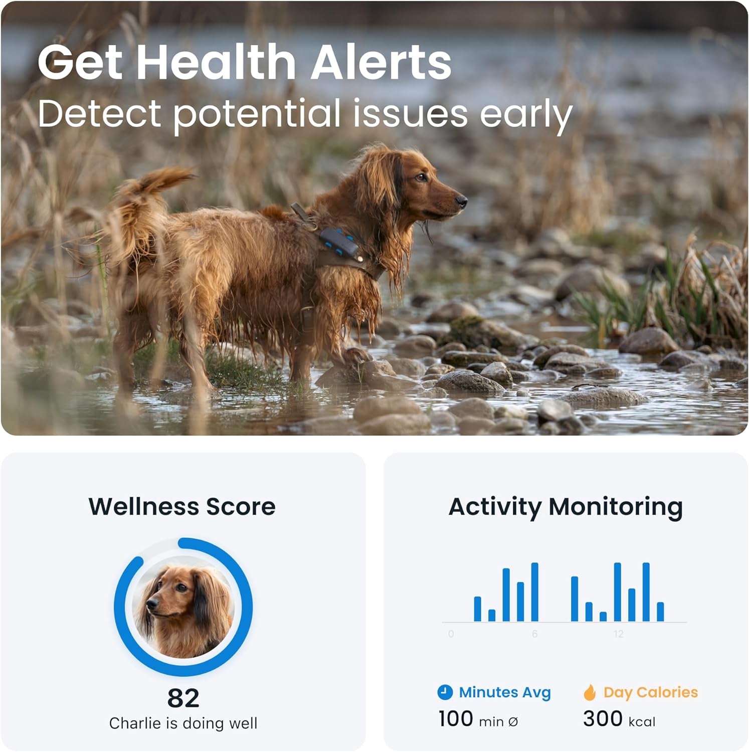 GPS Dog Tracker, Market Leader, Worldwide Real-Time Location Tracking, Escape Alerts, Monitor Activity & Get Health Alerts, Dark Blue