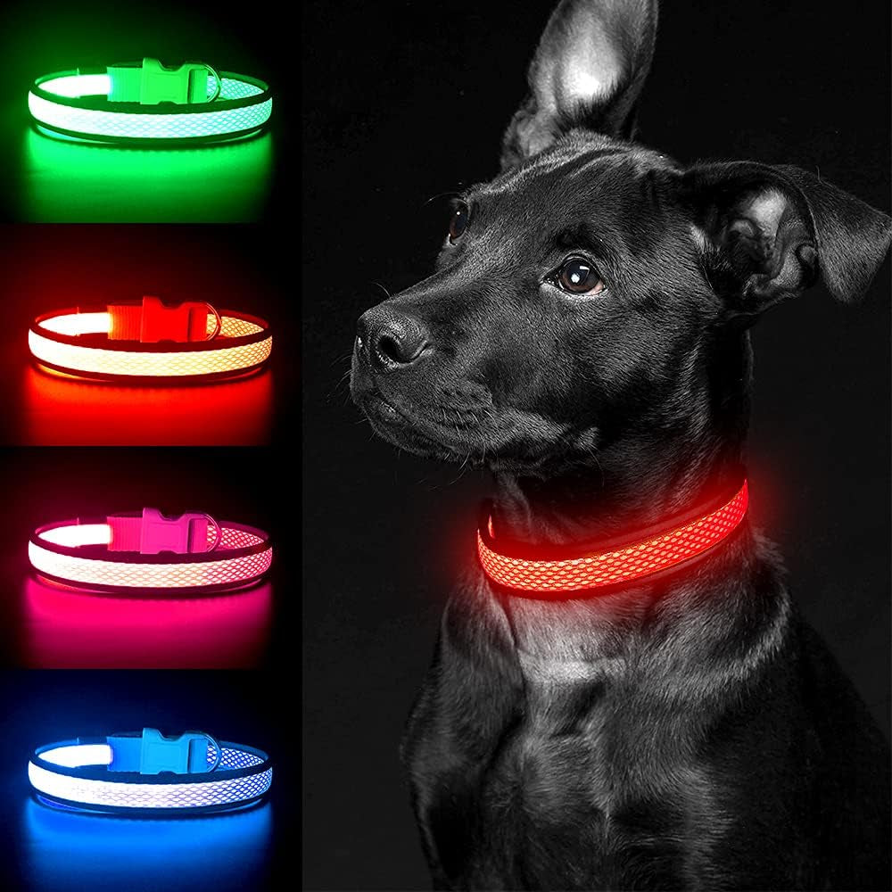 Light up Dog Collar, Rechargeable LED Dog Collar, Flashing Dog Collar, Adjustable Reflective Dog Collar Safety Glowing at Night (Green, Medium)